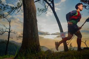 BIB: 
                            <button type="button" onclick="openModal(13655385)" class="btn btn-primary btn-sm float-right btn-popup" data-toggle="modal" data-target=".modal-high-quality">
                        <i class="fas fa-shopping-cart"></i> Add to Cart
                    </button>
                                            <button type="button" onclick="isThisMe(13655385, true)" class="btn btn-success btn-sm float-right btn-popup btn-isme hidden" data-toggle="tooltip" data-placement="bottom" title="นี่คือรูปของคุณใช่ไหม คลิกที่นี่เพื่อเอาเข้าอัลบั้ม">
                        <i class="fas fa-plus"></i> Add to album
                    </button>
                    <button type="button" onclick="isThisMe(13655385, false)" class="btn btn-warning btn-sm float-right btn-popup btn-isnotme hidden">
                        <i class="fas fa-ban"></i> Remove from album
                    </button>