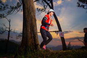 BIB: 
                            <button type="button" onclick="openModal(13655905)" class="btn btn-primary btn-sm float-right btn-popup" data-toggle="modal" data-target=".modal-high-quality">
                        <i class="fas fa-shopping-cart"></i> Add to Cart
                    </button>
                                            <button type="button" onclick="isThisMe(13655905, true)" class="btn btn-success btn-sm float-right btn-popup btn-isme hidden" data-toggle="tooltip" data-placement="bottom" title="นี่คือรูปของคุณใช่ไหม คลิกที่นี่เพื่อเอาเข้าอัลบั้ม">
                        <i class="fas fa-plus"></i> Add to album
                    </button>
                    <button type="button" onclick="isThisMe(13655905, false)" class="btn btn-warning btn-sm float-right btn-popup btn-isnotme hidden">
                        <i class="fas fa-ban"></i> Remove from album
                    </button>