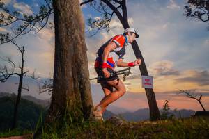 BIB: 
                            <button type="button" onclick="openModal(13655801)" class="btn btn-primary btn-sm float-right btn-popup" data-toggle="modal" data-target=".modal-high-quality">
                        <i class="fas fa-shopping-cart"></i> Add to Cart
                    </button>
                                            <button type="button" onclick="isThisMe(13655801, true)" class="btn btn-success btn-sm float-right btn-popup btn-isme hidden" data-toggle="tooltip" data-placement="bottom" title="นี่คือรูปของคุณใช่ไหม คลิกที่นี่เพื่อเอาเข้าอัลบั้ม">
                        <i class="fas fa-plus"></i> Add to album
                    </button>
                    <button type="button" onclick="isThisMe(13655801, false)" class="btn btn-warning btn-sm float-right btn-popup btn-isnotme hidden">
                        <i class="fas fa-ban"></i> Remove from album
                    </button>