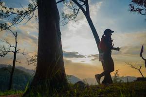 BIB: 
                            <button type="button" onclick="openModal(13655320)" class="btn btn-primary btn-sm float-right btn-popup" data-toggle="modal" data-target=".modal-high-quality">
                        <i class="fas fa-shopping-cart"></i> Add to Cart
                    </button>
                                            <button type="button" onclick="isThisMe(13655320, true)" class="btn btn-success btn-sm float-right btn-popup btn-isme hidden" data-toggle="tooltip" data-placement="bottom" title="นี่คือรูปของคุณใช่ไหม คลิกที่นี่เพื่อเอาเข้าอัลบั้ม">
                        <i class="fas fa-plus"></i> Add to album
                    </button>
                    <button type="button" onclick="isThisMe(13655320, false)" class="btn btn-warning btn-sm float-right btn-popup btn-isnotme hidden">
                        <i class="fas fa-ban"></i> Remove from album
                    </button>