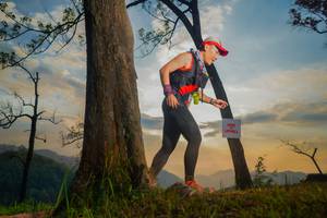 BIB: 
                            <button type="button" onclick="openModal(13655345)" class="btn btn-primary btn-sm float-right btn-popup" data-toggle="modal" data-target=".modal-high-quality">
                        <i class="fas fa-shopping-cart"></i> Add to Cart
                    </button>
                                            <button type="button" onclick="isThisMe(13655345, true)" class="btn btn-success btn-sm float-right btn-popup btn-isme hidden" data-toggle="tooltip" data-placement="bottom" title="นี่คือรูปของคุณใช่ไหม คลิกที่นี่เพื่อเอาเข้าอัลบั้ม">
                        <i class="fas fa-plus"></i> Add to album
                    </button>
                    <button type="button" onclick="isThisMe(13655345, false)" class="btn btn-warning btn-sm float-right btn-popup btn-isnotme hidden">
                        <i class="fas fa-ban"></i> Remove from album
                    </button>