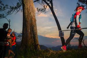 BIB: 
                            <button type="button" onclick="openModal(13656204)" class="btn btn-primary btn-sm float-right btn-popup" data-toggle="modal" data-target=".modal-high-quality">
                        <i class="fas fa-shopping-cart"></i> Add to Cart
                    </button>
                                            <button type="button" onclick="isThisMe(13656204, true)" class="btn btn-success btn-sm float-right btn-popup btn-isme hidden" data-toggle="tooltip" data-placement="bottom" title="นี่คือรูปของคุณใช่ไหม คลิกที่นี่เพื่อเอาเข้าอัลบั้ม">
                        <i class="fas fa-plus"></i> Add to album
                    </button>
                    <button type="button" onclick="isThisMe(13656204, false)" class="btn btn-warning btn-sm float-right btn-popup btn-isnotme hidden">
                        <i class="fas fa-ban"></i> Remove from album
                    </button>