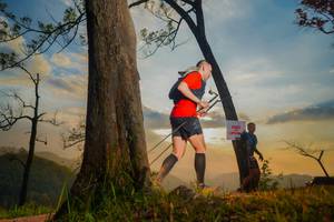 BIB: 
                            <button type="button" onclick="openModal(13655419)" class="btn btn-primary btn-sm float-right btn-popup" data-toggle="modal" data-target=".modal-high-quality">
                        <i class="fas fa-shopping-cart"></i> Add to Cart
                    </button>
                                            <button type="button" onclick="isThisMe(13655419, true)" class="btn btn-success btn-sm float-right btn-popup btn-isme hidden" data-toggle="tooltip" data-placement="bottom" title="นี่คือรูปของคุณใช่ไหม คลิกที่นี่เพื่อเอาเข้าอัลบั้ม">
                        <i class="fas fa-plus"></i> Add to album
                    </button>
                    <button type="button" onclick="isThisMe(13655419, false)" class="btn btn-warning btn-sm float-right btn-popup btn-isnotme hidden">
                        <i class="fas fa-ban"></i> Remove from album
                    </button>