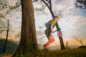 BIB: 
                            <button type="button" onclick="openModal(13654798)" class="btn btn-primary btn-sm float-right btn-popup" data-toggle="modal" data-target=".modal-high-quality">
                        <i class="fas fa-shopping-cart"></i> Add to Cart
                    </button>
                                            <button type="button" onclick="isThisMe(13654798, true)" class="btn btn-success btn-sm float-right btn-popup btn-isme hidden" data-toggle="tooltip" data-placement="bottom" title="นี่คือรูปของคุณใช่ไหม คลิกที่นี่เพื่อเอาเข้าอัลบั้ม">
                        <i class="fas fa-plus"></i> Add to album
                    </button>
                    <button type="button" onclick="isThisMe(13654798, false)" class="btn btn-warning btn-sm float-right btn-popup btn-isnotme hidden">
                        <i class="fas fa-ban"></i> Remove from album
                    </button>