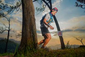 BIB: 
                            <button type="button" onclick="openModal(13655353)" class="btn btn-primary btn-sm float-right btn-popup" data-toggle="modal" data-target=".modal-high-quality">
                        <i class="fas fa-shopping-cart"></i> Add to Cart
                    </button>
                                            <button type="button" onclick="isThisMe(13655353, true)" class="btn btn-success btn-sm float-right btn-popup btn-isme hidden" data-toggle="tooltip" data-placement="bottom" title="นี่คือรูปของคุณใช่ไหม คลิกที่นี่เพื่อเอาเข้าอัลบั้ม">
                        <i class="fas fa-plus"></i> Add to album
                    </button>
                    <button type="button" onclick="isThisMe(13655353, false)" class="btn btn-warning btn-sm float-right btn-popup btn-isnotme hidden">
                        <i class="fas fa-ban"></i> Remove from album
                    </button>