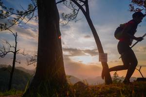 BIB: 
                            <button type="button" onclick="openModal(13655529)" class="btn btn-primary btn-sm float-right btn-popup" data-toggle="modal" data-target=".modal-high-quality">
                        <i class="fas fa-shopping-cart"></i> Add to Cart
                    </button>
                                            <button type="button" onclick="isThisMe(13655529, true)" class="btn btn-success btn-sm float-right btn-popup btn-isme hidden" data-toggle="tooltip" data-placement="bottom" title="นี่คือรูปของคุณใช่ไหม คลิกที่นี่เพื่อเอาเข้าอัลบั้ม">
                        <i class="fas fa-plus"></i> Add to album
                    </button>
                    <button type="button" onclick="isThisMe(13655529, false)" class="btn btn-warning btn-sm float-right btn-popup btn-isnotme hidden">
                        <i class="fas fa-ban"></i> Remove from album
                    </button>