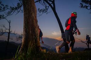 BIB: 
                            <button type="button" onclick="openModal(13656659)" class="btn btn-primary btn-sm float-right btn-popup" data-toggle="modal" data-target=".modal-high-quality">
                        <i class="fas fa-shopping-cart"></i> Add to Cart
                    </button>
                                            <button type="button" onclick="isThisMe(13656659, true)" class="btn btn-success btn-sm float-right btn-popup btn-isme hidden" data-toggle="tooltip" data-placement="bottom" title="นี่คือรูปของคุณใช่ไหม คลิกที่นี่เพื่อเอาเข้าอัลบั้ม">
                        <i class="fas fa-plus"></i> Add to album
                    </button>
                    <button type="button" onclick="isThisMe(13656659, false)" class="btn btn-warning btn-sm float-right btn-popup btn-isnotme hidden">
                        <i class="fas fa-ban"></i> Remove from album
                    </button>