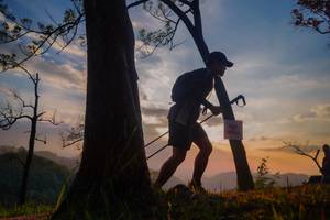 BIB: 
                            <button type="button" onclick="openModal(13655548)" class="btn btn-primary btn-sm float-right btn-popup" data-toggle="modal" data-target=".modal-high-quality">
                        <i class="fas fa-shopping-cart"></i> Add to Cart
                    </button>
                                            <button type="button" onclick="isThisMe(13655548, true)" class="btn btn-success btn-sm float-right btn-popup btn-isme hidden" data-toggle="tooltip" data-placement="bottom" title="นี่คือรูปของคุณใช่ไหม คลิกที่นี่เพื่อเอาเข้าอัลบั้ม">
                        <i class="fas fa-plus"></i> Add to album
                    </button>
                    <button type="button" onclick="isThisMe(13655548, false)" class="btn btn-warning btn-sm float-right btn-popup btn-isnotme hidden">
                        <i class="fas fa-ban"></i> Remove from album
                    </button>