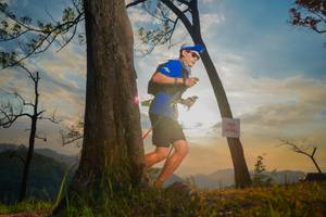 BIB: 
                            <button type="button" onclick="openModal(13655275)" class="btn btn-primary btn-sm float-right btn-popup" data-toggle="modal" data-target=".modal-high-quality">
                        <i class="fas fa-shopping-cart"></i> Add to Cart
                    </button>
                                            <button type="button" onclick="isThisMe(13655275, true)" class="btn btn-success btn-sm float-right btn-popup btn-isme hidden" data-toggle="tooltip" data-placement="bottom" title="นี่คือรูปของคุณใช่ไหม คลิกที่นี่เพื่อเอาเข้าอัลบั้ม">
                        <i class="fas fa-plus"></i> Add to album
                    </button>
                    <button type="button" onclick="isThisMe(13655275, false)" class="btn btn-warning btn-sm float-right btn-popup btn-isnotme hidden">
                        <i class="fas fa-ban"></i> Remove from album
                    </button>