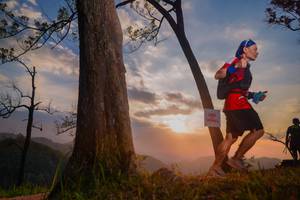 BIB: 
                            <button type="button" onclick="openModal(13655725)" class="btn btn-primary btn-sm float-right btn-popup" data-toggle="modal" data-target=".modal-high-quality">
                        <i class="fas fa-shopping-cart"></i> Add to Cart
                    </button>
                                            <button type="button" onclick="isThisMe(13655725, true)" class="btn btn-success btn-sm float-right btn-popup btn-isme hidden" data-toggle="tooltip" data-placement="bottom" title="นี่คือรูปของคุณใช่ไหม คลิกที่นี่เพื่อเอาเข้าอัลบั้ม">
                        <i class="fas fa-plus"></i> Add to album
                    </button>
                    <button type="button" onclick="isThisMe(13655725, false)" class="btn btn-warning btn-sm float-right btn-popup btn-isnotme hidden">
                        <i class="fas fa-ban"></i> Remove from album
                    </button>