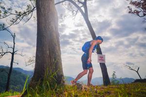 BIB: 
                            <button type="button" onclick="openModal(13654555)" class="btn btn-primary btn-sm float-right btn-popup" data-toggle="modal" data-target=".modal-high-quality">
                        <i class="fas fa-shopping-cart"></i> Add to Cart
                    </button>
                                            <button type="button" onclick="isThisMe(13654555, true)" class="btn btn-success btn-sm float-right btn-popup btn-isme hidden" data-toggle="tooltip" data-placement="bottom" title="นี่คือรูปของคุณใช่ไหม คลิกที่นี่เพื่อเอาเข้าอัลบั้ม">
                        <i class="fas fa-plus"></i> Add to album
                    </button>
                    <button type="button" onclick="isThisMe(13654555, false)" class="btn btn-warning btn-sm float-right btn-popup btn-isnotme hidden">
                        <i class="fas fa-ban"></i> Remove from album
                    </button>