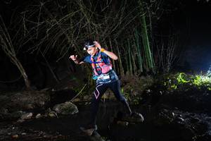 BIB: 
                            <button type="button" onclick="openModal(13674603)" class="btn btn-primary btn-sm float-right btn-popup" data-toggle="modal" data-target=".modal-high-quality">
                        <i class="fas fa-shopping-cart"></i> Add to Cart
                    </button>
                                            <button type="button" onclick="isThisMe(13674603, true)" class="btn btn-success btn-sm float-right btn-popup btn-isme hidden" data-toggle="tooltip" data-placement="bottom" title="นี่คือรูปของคุณใช่ไหม คลิกที่นี่เพื่อเอาเข้าอัลบั้ม">
                        <i class="fas fa-plus"></i> Add to album
                    </button>
                    <button type="button" onclick="isThisMe(13674603, false)" class="btn btn-warning btn-sm float-right btn-popup btn-isnotme hidden">
                        <i class="fas fa-ban"></i> Remove from album
                    </button>