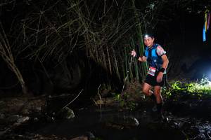 BIB: 
                            <button type="button" onclick="openModal(13673969)" class="btn btn-primary btn-sm float-right btn-popup" data-toggle="modal" data-target=".modal-high-quality">
                        <i class="fas fa-shopping-cart"></i> Add to Cart
                    </button>
                                            <button type="button" onclick="isThisMe(13673969, true)" class="btn btn-success btn-sm float-right btn-popup btn-isme hidden" data-toggle="tooltip" data-placement="bottom" title="นี่คือรูปของคุณใช่ไหม คลิกที่นี่เพื่อเอาเข้าอัลบั้ม">
                        <i class="fas fa-plus"></i> Add to album
                    </button>
                    <button type="button" onclick="isThisMe(13673969, false)" class="btn btn-warning btn-sm float-right btn-popup btn-isnotme hidden">
                        <i class="fas fa-ban"></i> Remove from album
                    </button>