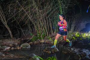 BIB: 
                            <button type="button" onclick="openModal(13691646)" class="btn btn-primary btn-sm float-right btn-popup" data-toggle="modal" data-target=".modal-high-quality">
                        <i class="fas fa-shopping-cart"></i> Add to Cart
                    </button>
                                            <button type="button" onclick="isThisMe(13691646, true)" class="btn btn-success btn-sm float-right btn-popup btn-isme hidden" data-toggle="tooltip" data-placement="bottom" title="นี่คือรูปของคุณใช่ไหม คลิกที่นี่เพื่อเอาเข้าอัลบั้ม">
                        <i class="fas fa-plus"></i> Add to album
                    </button>
                    <button type="button" onclick="isThisMe(13691646, false)" class="btn btn-warning btn-sm float-right btn-popup btn-isnotme hidden">
                        <i class="fas fa-ban"></i> Remove from album
                    </button>