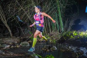 BIB: 
                            <button type="button" onclick="openModal(13691642)" class="btn btn-primary btn-sm float-right btn-popup" data-toggle="modal" data-target=".modal-high-quality">
                        <i class="fas fa-shopping-cart"></i> Add to Cart
                    </button>
                                            <button type="button" onclick="isThisMe(13691642, true)" class="btn btn-success btn-sm float-right btn-popup btn-isme hidden" data-toggle="tooltip" data-placement="bottom" title="นี่คือรูปของคุณใช่ไหม คลิกที่นี่เพื่อเอาเข้าอัลบั้ม">
                        <i class="fas fa-plus"></i> Add to album
                    </button>
                    <button type="button" onclick="isThisMe(13691642, false)" class="btn btn-warning btn-sm float-right btn-popup btn-isnotme hidden">
                        <i class="fas fa-ban"></i> Remove from album
                    </button>