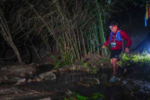 BIB: 
                            <button type="button" onclick="openModal(13691255)" class="btn btn-primary btn-sm float-right btn-popup" data-toggle="modal" data-target=".modal-high-quality">
                        <i class="fas fa-shopping-cart"></i> Add to Cart
                    </button>
                                            <button type="button" onclick="isThisMe(13691255, true)" class="btn btn-success btn-sm float-right btn-popup btn-isme hidden" data-toggle="tooltip" data-placement="bottom" title="นี่คือรูปของคุณใช่ไหม คลิกที่นี่เพื่อเอาเข้าอัลบั้ม">
                        <i class="fas fa-plus"></i> Add to album
                    </button>
                    <button type="button" onclick="isThisMe(13691255, false)" class="btn btn-warning btn-sm float-right btn-popup btn-isnotme hidden">
                        <i class="fas fa-ban"></i> Remove from album
                    </button>