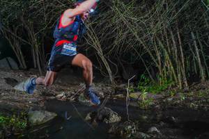 BIB: 
                            <button type="button" onclick="openModal(13691670)" class="btn btn-primary btn-sm float-right btn-popup" data-toggle="modal" data-target=".modal-high-quality">
                        <i class="fas fa-shopping-cart"></i> Add to Cart
                    </button>
                                            <button type="button" onclick="isThisMe(13691670, true)" class="btn btn-success btn-sm float-right btn-popup btn-isme hidden" data-toggle="tooltip" data-placement="bottom" title="นี่คือรูปของคุณใช่ไหม คลิกที่นี่เพื่อเอาเข้าอัลบั้ม">
                        <i class="fas fa-plus"></i> Add to album
                    </button>
                    <button type="button" onclick="isThisMe(13691670, false)" class="btn btn-warning btn-sm float-right btn-popup btn-isnotme hidden">
                        <i class="fas fa-ban"></i> Remove from album
                    </button>