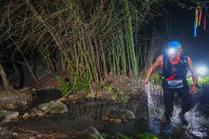 BIB: 
                            <button type="button" onclick="openModal(13691487)" class="btn btn-primary btn-sm float-right btn-popup" data-toggle="modal" data-target=".modal-high-quality">
                        <i class="fas fa-shopping-cart"></i> Add to Cart
                    </button>
                                            <button type="button" onclick="isThisMe(13691487, true)" class="btn btn-success btn-sm float-right btn-popup btn-isme hidden" data-toggle="tooltip" data-placement="bottom" title="นี่คือรูปของคุณใช่ไหม คลิกที่นี่เพื่อเอาเข้าอัลบั้ม">
                        <i class="fas fa-plus"></i> Add to album
                    </button>
                    <button type="button" onclick="isThisMe(13691487, false)" class="btn btn-warning btn-sm float-right btn-popup btn-isnotme hidden">
                        <i class="fas fa-ban"></i> Remove from album
                    </button>