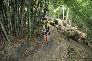 BIB: 
                            <button type="button" onclick="openModal(13585258)" class="btn btn-primary btn-sm float-right btn-popup" data-toggle="modal" data-target=".modal-high-quality">
                        <i class="fas fa-shopping-cart"></i> Add to Cart
                    </button>
                                            <button type="button" onclick="isThisMe(13585258, true)" class="btn btn-success btn-sm float-right btn-popup btn-isme hidden" data-toggle="tooltip" data-placement="bottom" title="นี่คือรูปของคุณใช่ไหม คลิกที่นี่เพื่อเอาเข้าอัลบั้ม">
                        <i class="fas fa-plus"></i> Add to album
                    </button>
                    <button type="button" onclick="isThisMe(13585258, false)" class="btn btn-warning btn-sm float-right btn-popup btn-isnotme hidden">
                        <i class="fas fa-ban"></i> Remove from album
                    </button>