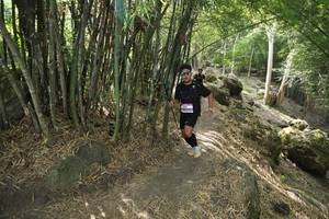 BIB: 
                            <button type="button" onclick="openModal(13584724)" class="btn btn-primary btn-sm float-right btn-popup" data-toggle="modal" data-target=".modal-high-quality">
                        <i class="fas fa-shopping-cart"></i> Add to Cart
                    </button>
                                            <button type="button" onclick="isThisMe(13584724, true)" class="btn btn-success btn-sm float-right btn-popup btn-isme hidden" data-toggle="tooltip" data-placement="bottom" title="นี่คือรูปของคุณใช่ไหม คลิกที่นี่เพื่อเอาเข้าอัลบั้ม">
                        <i class="fas fa-plus"></i> Add to album
                    </button>
                    <button type="button" onclick="isThisMe(13584724, false)" class="btn btn-warning btn-sm float-right btn-popup btn-isnotme hidden">
                        <i class="fas fa-ban"></i> Remove from album
                    </button>