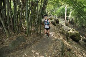 BIB: 
                            <button type="button" onclick="openModal(13584753)" class="btn btn-primary btn-sm float-right btn-popup" data-toggle="modal" data-target=".modal-high-quality">
                        <i class="fas fa-shopping-cart"></i> Add to Cart
                    </button>
                                            <button type="button" onclick="isThisMe(13584753, true)" class="btn btn-success btn-sm float-right btn-popup btn-isme hidden" data-toggle="tooltip" data-placement="bottom" title="นี่คือรูปของคุณใช่ไหม คลิกที่นี่เพื่อเอาเข้าอัลบั้ม">
                        <i class="fas fa-plus"></i> Add to album
                    </button>
                    <button type="button" onclick="isThisMe(13584753, false)" class="btn btn-warning btn-sm float-right btn-popup btn-isnotme hidden">
                        <i class="fas fa-ban"></i> Remove from album
                    </button>