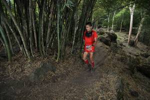 BIB: 
                            <button type="button" onclick="openModal(13585016)" class="btn btn-primary btn-sm float-right btn-popup" data-toggle="modal" data-target=".modal-high-quality">
                        <i class="fas fa-shopping-cart"></i> Add to Cart
                    </button>
                                            <button type="button" onclick="isThisMe(13585016, true)" class="btn btn-success btn-sm float-right btn-popup btn-isme hidden" data-toggle="tooltip" data-placement="bottom" title="นี่คือรูปของคุณใช่ไหม คลิกที่นี่เพื่อเอาเข้าอัลบั้ม">
                        <i class="fas fa-plus"></i> Add to album
                    </button>
                    <button type="button" onclick="isThisMe(13585016, false)" class="btn btn-warning btn-sm float-right btn-popup btn-isnotme hidden">
                        <i class="fas fa-ban"></i> Remove from album
                    </button>