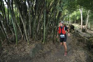 BIB: 
                            <button type="button" onclick="openModal(13585339)" class="btn btn-primary btn-sm float-right btn-popup" data-toggle="modal" data-target=".modal-high-quality">
                        <i class="fas fa-shopping-cart"></i> Add to Cart
                    </button>
                                            <button type="button" onclick="isThisMe(13585339, true)" class="btn btn-success btn-sm float-right btn-popup btn-isme hidden" data-toggle="tooltip" data-placement="bottom" title="นี่คือรูปของคุณใช่ไหม คลิกที่นี่เพื่อเอาเข้าอัลบั้ม">
                        <i class="fas fa-plus"></i> Add to album
                    </button>
                    <button type="button" onclick="isThisMe(13585339, false)" class="btn btn-warning btn-sm float-right btn-popup btn-isnotme hidden">
                        <i class="fas fa-ban"></i> Remove from album
                    </button>