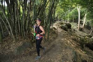 BIB: 
                            <button type="button" onclick="openModal(13584831)" class="btn btn-primary btn-sm float-right btn-popup" data-toggle="modal" data-target=".modal-high-quality">
                        <i class="fas fa-shopping-cart"></i> Add to Cart
                    </button>
                                            <button type="button" onclick="isThisMe(13584831, true)" class="btn btn-success btn-sm float-right btn-popup btn-isme hidden" data-toggle="tooltip" data-placement="bottom" title="นี่คือรูปของคุณใช่ไหม คลิกที่นี่เพื่อเอาเข้าอัลบั้ม">
                        <i class="fas fa-plus"></i> Add to album
                    </button>
                    <button type="button" onclick="isThisMe(13584831, false)" class="btn btn-warning btn-sm float-right btn-popup btn-isnotme hidden">
                        <i class="fas fa-ban"></i> Remove from album
                    </button>