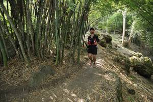 BIB: 
                            <button type="button" onclick="openModal(13584740)" class="btn btn-primary btn-sm float-right btn-popup" data-toggle="modal" data-target=".modal-high-quality">
                        <i class="fas fa-shopping-cart"></i> Add to Cart
                    </button>
                                            <button type="button" onclick="isThisMe(13584740, true)" class="btn btn-success btn-sm float-right btn-popup btn-isme hidden" data-toggle="tooltip" data-placement="bottom" title="นี่คือรูปของคุณใช่ไหม คลิกที่นี่เพื่อเอาเข้าอัลบั้ม">
                        <i class="fas fa-plus"></i> Add to album
                    </button>
                    <button type="button" onclick="isThisMe(13584740, false)" class="btn btn-warning btn-sm float-right btn-popup btn-isnotme hidden">
                        <i class="fas fa-ban"></i> Remove from album
                    </button>