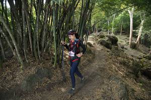 BIB: 
                            <button type="button" onclick="openModal(13584850)" class="btn btn-primary btn-sm float-right btn-popup" data-toggle="modal" data-target=".modal-high-quality">
                        <i class="fas fa-shopping-cart"></i> Add to Cart
                    </button>
                                            <button type="button" onclick="isThisMe(13584850, true)" class="btn btn-success btn-sm float-right btn-popup btn-isme hidden" data-toggle="tooltip" data-placement="bottom" title="นี่คือรูปของคุณใช่ไหม คลิกที่นี่เพื่อเอาเข้าอัลบั้ม">
                        <i class="fas fa-plus"></i> Add to album
                    </button>
                    <button type="button" onclick="isThisMe(13584850, false)" class="btn btn-warning btn-sm float-right btn-popup btn-isnotme hidden">
                        <i class="fas fa-ban"></i> Remove from album
                    </button>