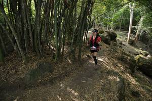 BIB: 
                            <button type="button" onclick="openModal(13584797)" class="btn btn-primary btn-sm float-right btn-popup" data-toggle="modal" data-target=".modal-high-quality">
                        <i class="fas fa-shopping-cart"></i> Add to Cart
                    </button>
                                            <button type="button" onclick="isThisMe(13584797, true)" class="btn btn-success btn-sm float-right btn-popup btn-isme hidden" data-toggle="tooltip" data-placement="bottom" title="นี่คือรูปของคุณใช่ไหม คลิกที่นี่เพื่อเอาเข้าอัลบั้ม">
                        <i class="fas fa-plus"></i> Add to album
                    </button>
                    <button type="button" onclick="isThisMe(13584797, false)" class="btn btn-warning btn-sm float-right btn-popup btn-isnotme hidden">
                        <i class="fas fa-ban"></i> Remove from album
                    </button>