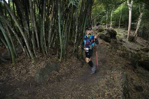 BIB: 
                            <button type="button" onclick="openModal(13585043)" class="btn btn-primary btn-sm float-right btn-popup" data-toggle="modal" data-target=".modal-high-quality">
                        <i class="fas fa-shopping-cart"></i> Add to Cart
                    </button>
                                            <button type="button" onclick="isThisMe(13585043, true)" class="btn btn-success btn-sm float-right btn-popup btn-isme hidden" data-toggle="tooltip" data-placement="bottom" title="นี่คือรูปของคุณใช่ไหม คลิกที่นี่เพื่อเอาเข้าอัลบั้ม">
                        <i class="fas fa-plus"></i> Add to album
                    </button>
                    <button type="button" onclick="isThisMe(13585043, false)" class="btn btn-warning btn-sm float-right btn-popup btn-isnotme hidden">
                        <i class="fas fa-ban"></i> Remove from album
                    </button>