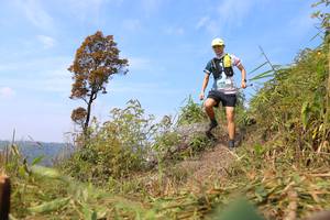 BIB: 
                            <button type="button" onclick="openModal(13639178)" class="btn btn-primary btn-sm float-right btn-popup" data-toggle="modal" data-target=".modal-high-quality">
                        <i class="fas fa-shopping-cart"></i> Add to Cart
                    </button>
                                            <button type="button" onclick="isThisMe(13639178, true)" class="btn btn-success btn-sm float-right btn-popup btn-isme hidden" data-toggle="tooltip" data-placement="bottom" title="นี่คือรูปของคุณใช่ไหม คลิกที่นี่เพื่อเอาเข้าอัลบั้ม">
                        <i class="fas fa-plus"></i> Add to album
                    </button>
                    <button type="button" onclick="isThisMe(13639178, false)" class="btn btn-warning btn-sm float-right btn-popup btn-isnotme hidden">
                        <i class="fas fa-ban"></i> Remove from album
                    </button>