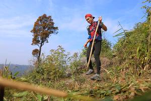 BIB: 
                            <button type="button" onclick="openModal(13634267)" class="btn btn-primary btn-sm float-right btn-popup" data-toggle="modal" data-target=".modal-high-quality">
                        <i class="fas fa-shopping-cart"></i> Add to Cart
                    </button>
                                            <button type="button" onclick="isThisMe(13634267, true)" class="btn btn-success btn-sm float-right btn-popup btn-isme hidden" data-toggle="tooltip" data-placement="bottom" title="นี่คือรูปของคุณใช่ไหม คลิกที่นี่เพื่อเอาเข้าอัลบั้ม">
                        <i class="fas fa-plus"></i> Add to album
                    </button>
                    <button type="button" onclick="isThisMe(13634267, false)" class="btn btn-warning btn-sm float-right btn-popup btn-isnotme hidden">
                        <i class="fas fa-ban"></i> Remove from album
                    </button>