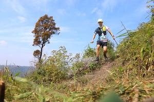 BIB: 
                            <button type="button" onclick="openModal(13639050)" class="btn btn-primary btn-sm float-right btn-popup" data-toggle="modal" data-target=".modal-high-quality">
                        <i class="fas fa-shopping-cart"></i> Add to Cart
                    </button>
                                            <button type="button" onclick="isThisMe(13639050, true)" class="btn btn-success btn-sm float-right btn-popup btn-isme hidden" data-toggle="tooltip" data-placement="bottom" title="นี่คือรูปของคุณใช่ไหม คลิกที่นี่เพื่อเอาเข้าอัลบั้ม">
                        <i class="fas fa-plus"></i> Add to album
                    </button>
                    <button type="button" onclick="isThisMe(13639050, false)" class="btn btn-warning btn-sm float-right btn-popup btn-isnotme hidden">
                        <i class="fas fa-ban"></i> Remove from album
                    </button>