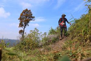 BIB: 
                            <button type="button" onclick="openModal(13642923)" class="btn btn-primary btn-sm float-right btn-popup" data-toggle="modal" data-target=".modal-high-quality">
                        <i class="fas fa-shopping-cart"></i> Add to Cart
                    </button>
                                            <button type="button" onclick="isThisMe(13642923, true)" class="btn btn-success btn-sm float-right btn-popup btn-isme hidden" data-toggle="tooltip" data-placement="bottom" title="นี่คือรูปของคุณใช่ไหม คลิกที่นี่เพื่อเอาเข้าอัลบั้ม">
                        <i class="fas fa-plus"></i> Add to album
                    </button>
                    <button type="button" onclick="isThisMe(13642923, false)" class="btn btn-warning btn-sm float-right btn-popup btn-isnotme hidden">
                        <i class="fas fa-ban"></i> Remove from album
                    </button>