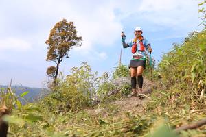 BIB: 
                            <button type="button" onclick="openModal(13661225)" class="btn btn-primary btn-sm float-right btn-popup" data-toggle="modal" data-target=".modal-high-quality">
                        <i class="fas fa-shopping-cart"></i> Add to Cart
                    </button>
                                            <button type="button" onclick="isThisMe(13661225, true)" class="btn btn-success btn-sm float-right btn-popup btn-isme hidden" data-toggle="tooltip" data-placement="bottom" title="นี่คือรูปของคุณใช่ไหม คลิกที่นี่เพื่อเอาเข้าอัลบั้ม">
                        <i class="fas fa-plus"></i> Add to album
                    </button>
                    <button type="button" onclick="isThisMe(13661225, false)" class="btn btn-warning btn-sm float-right btn-popup btn-isnotme hidden">
                        <i class="fas fa-ban"></i> Remove from album
                    </button>