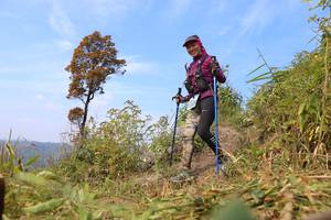 BIB: 
                            <button type="button" onclick="openModal(13642031)" class="btn btn-primary btn-sm float-right btn-popup" data-toggle="modal" data-target=".modal-high-quality">
                        <i class="fas fa-shopping-cart"></i> Add to Cart
                    </button>
                                            <button type="button" onclick="isThisMe(13642031, true)" class="btn btn-success btn-sm float-right btn-popup btn-isme hidden" data-toggle="tooltip" data-placement="bottom" title="นี่คือรูปของคุณใช่ไหม คลิกที่นี่เพื่อเอาเข้าอัลบั้ม">
                        <i class="fas fa-plus"></i> Add to album
                    </button>
                    <button type="button" onclick="isThisMe(13642031, false)" class="btn btn-warning btn-sm float-right btn-popup btn-isnotme hidden">
                        <i class="fas fa-ban"></i> Remove from album
                    </button>