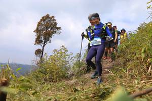 BIB: 
                            <button type="button" onclick="openModal(13665597)" class="btn btn-primary btn-sm float-right btn-popup" data-toggle="modal" data-target=".modal-high-quality">
                        <i class="fas fa-shopping-cart"></i> Add to Cart
                    </button>
                                            <button type="button" onclick="isThisMe(13665597, true)" class="btn btn-success btn-sm float-right btn-popup btn-isme hidden" data-toggle="tooltip" data-placement="bottom" title="นี่คือรูปของคุณใช่ไหม คลิกที่นี่เพื่อเอาเข้าอัลบั้ม">
                        <i class="fas fa-plus"></i> Add to album
                    </button>
                    <button type="button" onclick="isThisMe(13665597, false)" class="btn btn-warning btn-sm float-right btn-popup btn-isnotme hidden">
                        <i class="fas fa-ban"></i> Remove from album
                    </button>