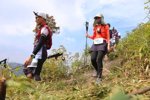 BIB: 
                            <button type="button" onclick="openModal(13660169)" class="btn btn-primary btn-sm float-right btn-popup" data-toggle="modal" data-target=".modal-high-quality">
                        <i class="fas fa-shopping-cart"></i> Add to Cart
                    </button>
                                            <button type="button" onclick="isThisMe(13660169, true)" class="btn btn-success btn-sm float-right btn-popup btn-isme hidden" data-toggle="tooltip" data-placement="bottom" title="นี่คือรูปของคุณใช่ไหม คลิกที่นี่เพื่อเอาเข้าอัลบั้ม">
                        <i class="fas fa-plus"></i> Add to album
                    </button>
                    <button type="button" onclick="isThisMe(13660169, false)" class="btn btn-warning btn-sm float-right btn-popup btn-isnotme hidden">
                        <i class="fas fa-ban"></i> Remove from album
                    </button>