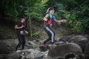 BIB: 
                            <button type="button" onclick="openModal(13574725)" class="btn btn-primary btn-sm float-right btn-popup" data-toggle="modal" data-target=".modal-high-quality">
                        <i class="fas fa-shopping-cart"></i> Add to Cart
                    </button>
                                            <button type="button" onclick="isThisMe(13574725, true)" class="btn btn-success btn-sm float-right btn-popup btn-isme hidden" data-toggle="tooltip" data-placement="bottom" title="นี่คือรูปของคุณใช่ไหม คลิกที่นี่เพื่อเอาเข้าอัลบั้ม">
                        <i class="fas fa-plus"></i> Add to album
                    </button>
                    <button type="button" onclick="isThisMe(13574725, false)" class="btn btn-warning btn-sm float-right btn-popup btn-isnotme hidden">
                        <i class="fas fa-ban"></i> Remove from album
                    </button>