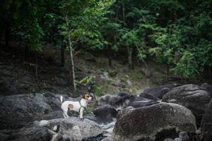 BIB: 
                            <button type="button" onclick="openModal(13573460)" class="btn btn-primary btn-sm float-right btn-popup" data-toggle="modal" data-target=".modal-high-quality">
                        <i class="fas fa-shopping-cart"></i> Add to Cart
                    </button>
                                            <button type="button" onclick="isThisMe(13573460, true)" class="btn btn-success btn-sm float-right btn-popup btn-isme hidden" data-toggle="tooltip" data-placement="bottom" title="นี่คือรูปของคุณใช่ไหม คลิกที่นี่เพื่อเอาเข้าอัลบั้ม">
                        <i class="fas fa-plus"></i> Add to album
                    </button>
                    <button type="button" onclick="isThisMe(13573460, false)" class="btn btn-warning btn-sm float-right btn-popup btn-isnotme hidden">
                        <i class="fas fa-ban"></i> Remove from album
                    </button>