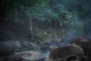 BIB: 
                            <button type="button" onclick="openModal(13572915)" class="btn btn-primary btn-sm float-right btn-popup" data-toggle="modal" data-target=".modal-high-quality">
                        <i class="fas fa-shopping-cart"></i> Add to Cart
                    </button>
                                            <button type="button" onclick="isThisMe(13572915, true)" class="btn btn-success btn-sm float-right btn-popup btn-isme hidden" data-toggle="tooltip" data-placement="bottom" title="นี่คือรูปของคุณใช่ไหม คลิกที่นี่เพื่อเอาเข้าอัลบั้ม">
                        <i class="fas fa-plus"></i> Add to album
                    </button>
                    <button type="button" onclick="isThisMe(13572915, false)" class="btn btn-warning btn-sm float-right btn-popup btn-isnotme hidden">
                        <i class="fas fa-ban"></i> Remove from album
                    </button>