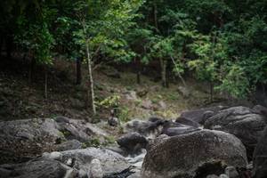 BIB: 
                            <button type="button" onclick="openModal(13575221)" class="btn btn-primary btn-sm float-right btn-popup" data-toggle="modal" data-target=".modal-high-quality">
                        <i class="fas fa-shopping-cart"></i> Add to Cart
                    </button>
                                            <button type="button" onclick="isThisMe(13575221, true)" class="btn btn-success btn-sm float-right btn-popup btn-isme hidden" data-toggle="tooltip" data-placement="bottom" title="นี่คือรูปของคุณใช่ไหม คลิกที่นี่เพื่อเอาเข้าอัลบั้ม">
                        <i class="fas fa-plus"></i> Add to album
                    </button>
                    <button type="button" onclick="isThisMe(13575221, false)" class="btn btn-warning btn-sm float-right btn-popup btn-isnotme hidden">
                        <i class="fas fa-ban"></i> Remove from album
                    </button>