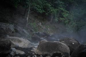 BIB: 
                            <button type="button" onclick="openModal(13572903)" class="btn btn-primary btn-sm float-right btn-popup" data-toggle="modal" data-target=".modal-high-quality">
                        <i class="fas fa-shopping-cart"></i> Add to Cart
                    </button>
                                            <button type="button" onclick="isThisMe(13572903, true)" class="btn btn-success btn-sm float-right btn-popup btn-isme hidden" data-toggle="tooltip" data-placement="bottom" title="นี่คือรูปของคุณใช่ไหม คลิกที่นี่เพื่อเอาเข้าอัลบั้ม">
                        <i class="fas fa-plus"></i> Add to album
                    </button>
                    <button type="button" onclick="isThisMe(13572903, false)" class="btn btn-warning btn-sm float-right btn-popup btn-isnotme hidden">
                        <i class="fas fa-ban"></i> Remove from album
                    </button>