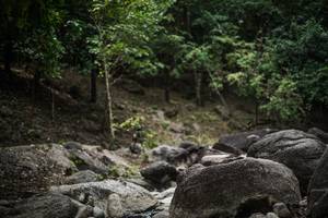 BIB: 
                            <button type="button" onclick="openModal(13576227)" class="btn btn-primary btn-sm float-right btn-popup" data-toggle="modal" data-target=".modal-high-quality">
                        <i class="fas fa-shopping-cart"></i> Add to Cart
                    </button>
                                            <button type="button" onclick="isThisMe(13576227, true)" class="btn btn-success btn-sm float-right btn-popup btn-isme hidden" data-toggle="tooltip" data-placement="bottom" title="นี่คือรูปของคุณใช่ไหม คลิกที่นี่เพื่อเอาเข้าอัลบั้ม">
                        <i class="fas fa-plus"></i> Add to album
                    </button>
                    <button type="button" onclick="isThisMe(13576227, false)" class="btn btn-warning btn-sm float-right btn-popup btn-isnotme hidden">
                        <i class="fas fa-ban"></i> Remove from album
                    </button>