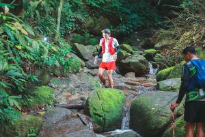 BIB: 
                            <button type="button" onclick="openModal(13529690)" class="btn btn-primary btn-sm float-right btn-popup" data-toggle="modal" data-target=".modal-high-quality">
                        <i class="fas fa-shopping-cart"></i> Add to Cart
                    </button>
                                            <button type="button" onclick="isThisMe(13529690, true)" class="btn btn-success btn-sm float-right btn-popup btn-isme hidden" data-toggle="tooltip" data-placement="bottom" title="นี่คือรูปของคุณใช่ไหม คลิกที่นี่เพื่อเอาเข้าอัลบั้ม">
                        <i class="fas fa-plus"></i> Add to album
                    </button>
                    <button type="button" onclick="isThisMe(13529690, false)" class="btn btn-warning btn-sm float-right btn-popup btn-isnotme hidden">
                        <i class="fas fa-ban"></i> Remove from album
                    </button>