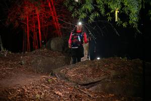 BIB: 
                            <button type="button" onclick="openModal(13619319)" class="btn btn-primary btn-sm float-right btn-popup" data-toggle="modal" data-target=".modal-high-quality">
                        <i class="fas fa-shopping-cart"></i> Add to Cart
                    </button>
                                            <button type="button" onclick="isThisMe(13619319, true)" class="btn btn-success btn-sm float-right btn-popup btn-isme hidden" data-toggle="tooltip" data-placement="bottom" title="นี่คือรูปของคุณใช่ไหม คลิกที่นี่เพื่อเอาเข้าอัลบั้ม">
                        <i class="fas fa-plus"></i> Add to album
                    </button>
                    <button type="button" onclick="isThisMe(13619319, false)" class="btn btn-warning btn-sm float-right btn-popup btn-isnotme hidden">
                        <i class="fas fa-ban"></i> Remove from album
                    </button>