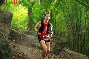 BIB: 
                            <button type="button" onclick="openModal(13528792)" class="btn btn-primary btn-sm float-right btn-popup" data-toggle="modal" data-target=".modal-high-quality">
                        <i class="fas fa-shopping-cart"></i> Add to Cart
                    </button>
                                            <button type="button" onclick="isThisMe(13528792, true)" class="btn btn-success btn-sm float-right btn-popup btn-isme hidden" data-toggle="tooltip" data-placement="bottom" title="นี่คือรูปของคุณใช่ไหม คลิกที่นี่เพื่อเอาเข้าอัลบั้ม">
                        <i class="fas fa-plus"></i> Add to album
                    </button>
                    <button type="button" onclick="isThisMe(13528792, false)" class="btn btn-warning btn-sm float-right btn-popup btn-isnotme hidden">
                        <i class="fas fa-ban"></i> Remove from album
                    </button>