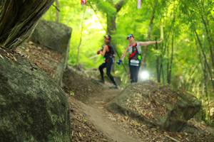 BIB: 
                            <button type="button" onclick="openModal(13531811)" class="btn btn-primary btn-sm float-right btn-popup" data-toggle="modal" data-target=".modal-high-quality">
                        <i class="fas fa-shopping-cart"></i> Add to Cart
                    </button>
                                            <button type="button" onclick="isThisMe(13531811, true)" class="btn btn-success btn-sm float-right btn-popup btn-isme hidden" data-toggle="tooltip" data-placement="bottom" title="นี่คือรูปของคุณใช่ไหม คลิกที่นี่เพื่อเอาเข้าอัลบั้ม">
                        <i class="fas fa-plus"></i> Add to album
                    </button>
                    <button type="button" onclick="isThisMe(13531811, false)" class="btn btn-warning btn-sm float-right btn-popup btn-isnotme hidden">
                        <i class="fas fa-ban"></i> Remove from album
                    </button>